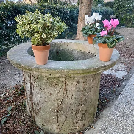 Timberly Guest house Padova