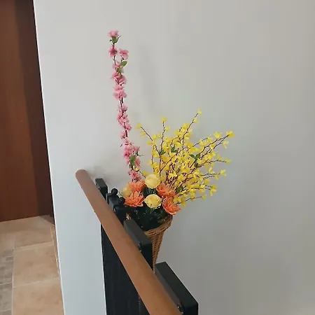 Timberly 3* パドヴァ