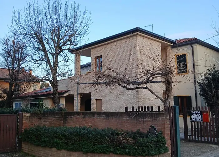 Timberly פאדובה